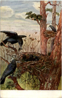 Raben - Künstlerkarte P. Flander - Birds