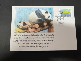 1-5-2024 (3 Z 32) Russia - Giant Panda (for Katyusha & Ding Ding) Outdoor Enclosure Open At Moscow Zoo - Osos