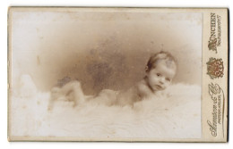 Fotografie Samson & Co., München, Neuhauserstr. 7, Portrait Süsses Baby Auf Einem Fell Liegend  - Anonyme Personen