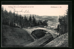 AK Mühlhausen I. Th., Stadtpark, Blick Auf Die Fusswegbrücke Und Stadt  - Mühlhausen