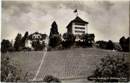 Schloss Heidegg Bei Gelfingen - Autres & Non Classés
