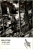 Kuala Lipis - Malesia