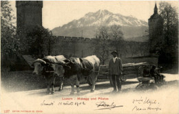 Luzern - Ochsenkarren - Lucerne