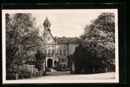 AK Waldenburg I. Sa., Fürstliches Schloss  - Waldenburg (Sachsen)