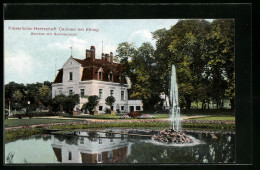 AK Cadinen Bei Elbing, Kaiserliches Schloss Mit Teich  - Westpreussen