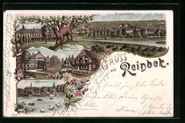 Lithographie Reinbek, Pension Scherer Mit Landhaus, Sophienbad Und Schloss Reinbek  - Reinbek