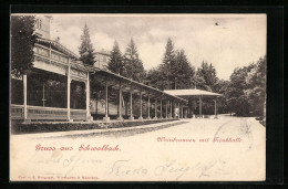 AK Schwalbach, Weinbrunnen Mit Trinkhalle  - Bad Schwalbach