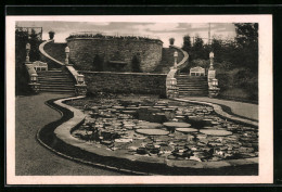 AK Essen, Gruga 1929, Staudenlichtung, Victoria-Regia-Becken  - Exposiciones