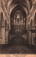 Tongeren - Stiftkerk, De Orgels - Tongeren