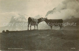 13816405 Hertenstein  LU Die Schmeichler Almvieh Kuehe Alpen  - Autres & Non Classés