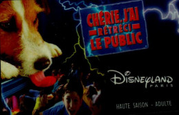 PASSEPORT DISNEY..   HAUTE SAISON  ADULTE... - Disney Passports