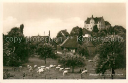 13769875 Stettfurt Schlossgut Sonnenberg Stettfurt - Autres & Non Classés