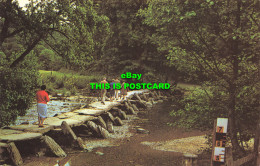 R567865 Tarr Steps. Exmoor. PT6502. 1972 - World