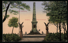 AK Bad Harzburg, Burgberg Mit Bismarck-Denkmal  - Bad Harzburg