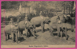 Ag3729  - INDIA - VINTAGE POSTCARD - ETHNIC, Gustav Hagenbeck's Indien - Inde