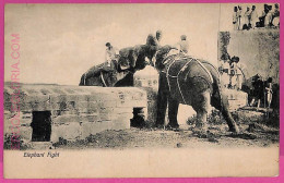 Ag3740  - INDIA - VINTAGE POSTCARD - Elephant Fight, Ethnic - India