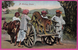 Ag3744 - INDIA - VINTAGE POSTCARD - Ethnic, A Hunting Cheeta - Inde