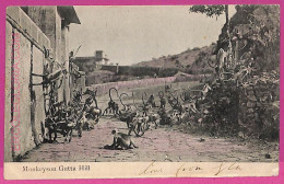 Ag3748 - INDIA - VINTAGE POSTCARD - Monkeyson Gutta Hill - Inde