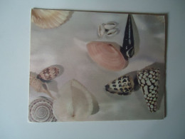 SCOTLAND  POSTCARDS  LETTER  SHELLS  WAVERLEY NOTEKET  MORE  PURHASES 10% DISCOUNT - Other & Unclassified