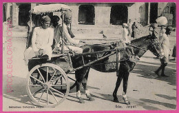 Ag3764  - INDIA - VINTAGE POSTCARD  - Jaipur - Inde