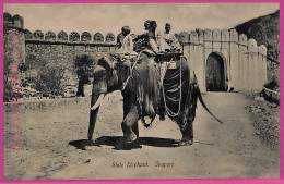 Ag3768  - INDIA - VINTAGE POSTCARD  - Jeypore, State Elephant - Indien