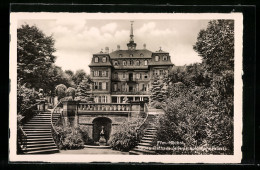 AK Frankfurt-Höchst, Blick Zum Neuen Rathaus Im Sommer  - Frankfurt A. Main