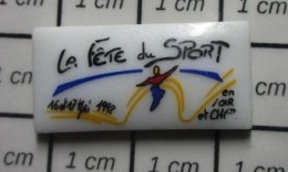 713c Pin's Pins / Beau Et Rare / SPORTS / LA FETE DU SPORT EN LOIR ET CHER Pin's En Porcelaine De Limoges - Altri & Non Classificati