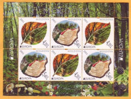 2011 Moldova Moldavie  Europa Cept  Forest, Trees, Flowers, Mushrooms, Fauna H-Blatt Mint - 2011