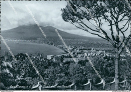 N795 Cartolina Castellammare Di Stabia Panorama Con Vesuvio Napoli - Napoli