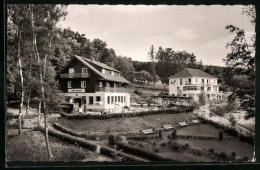 AK Bad König Im Odenwald, Haus Birkenhöh Und Waldfrieden  - Odenwald