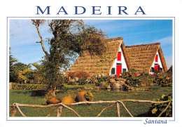 PORTUGAL MADEIRA SANTANA - Madeira