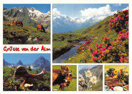 Autriche GRUSS VON DER ALM - Altri & Non Classificati