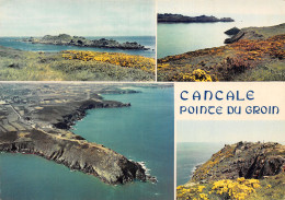 35 CANCALE ILE DES LANDES - Cancale