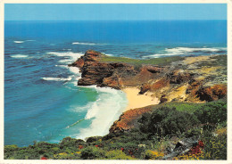 SUD AFRIQUE CAPE PENINSULA - Afrique Du Sud