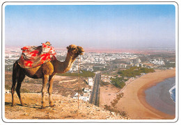 MAROC AGADIR - Agadir