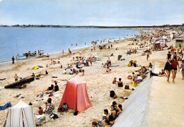 85 LA TRANCHE SUR MER PLAGE DE LA GRIERE - La Tranche Sur Mer