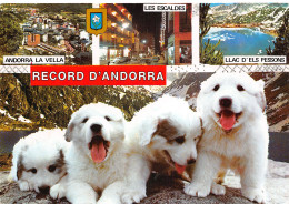 ANDORRA - Andorre