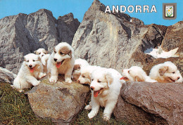 ANDORRA - Andorre