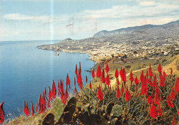 PORTUGAL MADEIRA FUNCHAL - Madeira