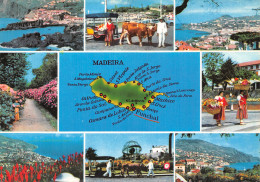 PORTUGAL MADEIRA - Madeira