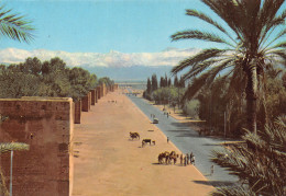 MAROC MARRAKECH - Marrakesh