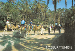 TUNISIE TOZEUR - Tunisia