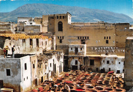 MAROC FES TANNEURS - Fez