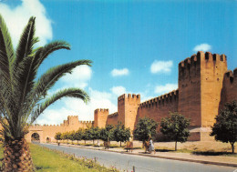 ALGERIE TAROUDANT LES REMPARTS - Andere & Zonder Classificatie