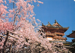 JAPON NIPPON HEIAN SHRINE - Otros & Sin Clasificación