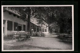 AK Batzdorf Bei Meissen, Gasthaus Rehbockschänke, Gartenansicht  - Meissen