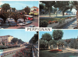 66 PERPIGNAN SOUVENIR  - Perpignan