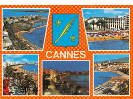 6 CANNES - Cannes