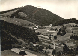 Neuenweg über Schönau - Gasthaus Haldenhof - Lörrach