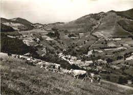 Neuenweg - Lörrach